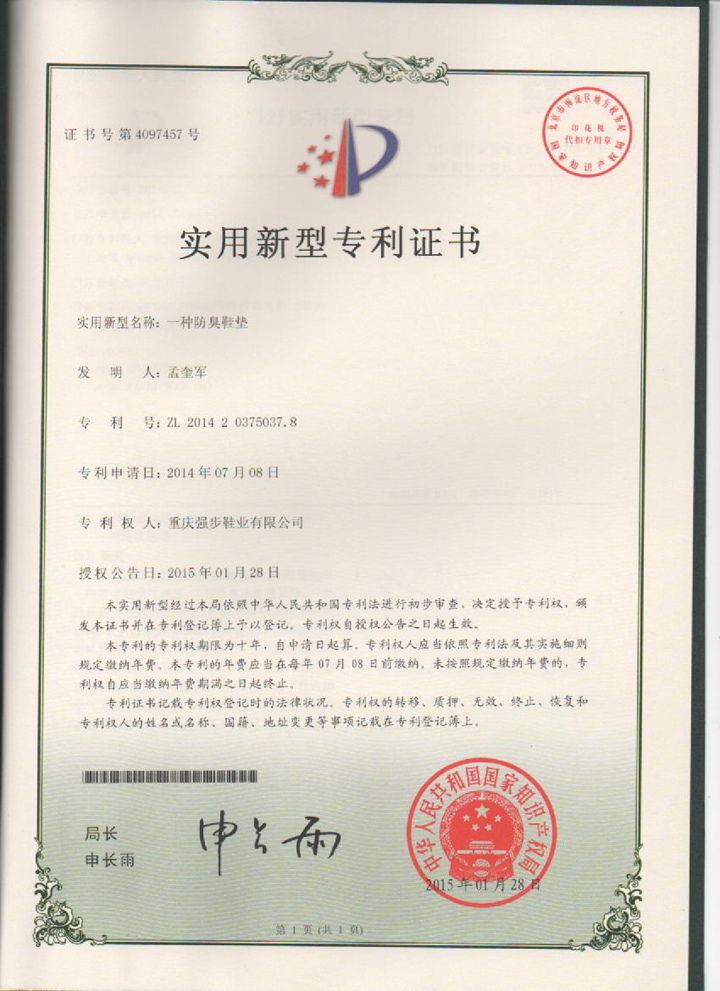 一種防臭鞋墊專(zhuān)利
